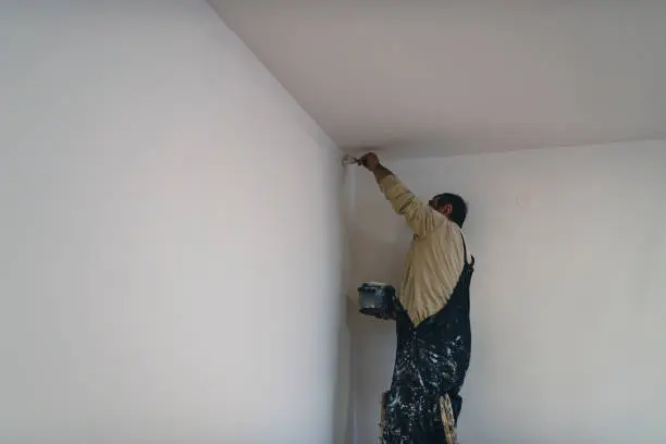 Wall Painting & Whitewashing
